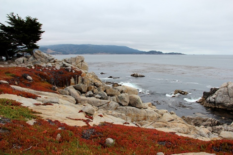 ��������� ����������